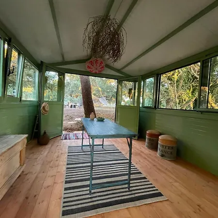 Uniek Aan Het Ferienhaus Saint-Pierre-d'Oleron